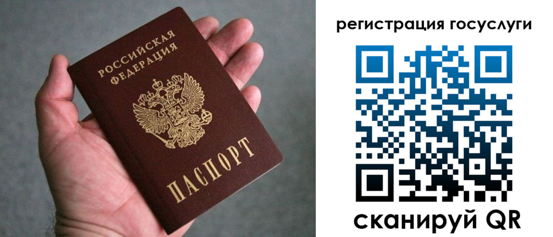 прописка поиск в Ряжске